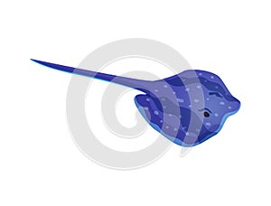 Flat Crampfish Illustration