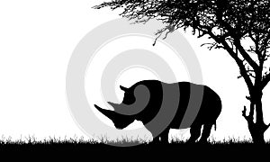 Flat design black and white illustration of a rhino silhouette with two horns under a tree in the grass on Safari - Space for your
