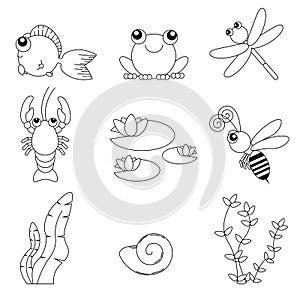 Flat design cute animals set. River life: fish, frog, dragonfly, crayfish, bee, water lily, shells and seaweeds.