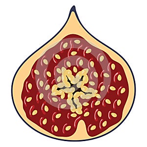 Flat design icon of Fig fruit in ui colors.