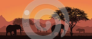 Flat design illustration of african landscape with silhouettes of safari animals. Elephant and rhino under the trees. Grazing