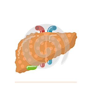 Flat design illustration of sick damaged fatty human liver