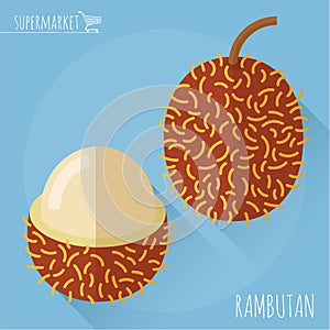 Flat design rambutan vector icon