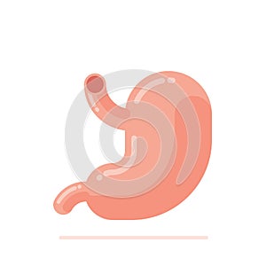 Flat design vector Illustration of human stomach