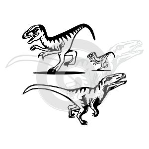 Flat dinosaurus Raptor illustration vector