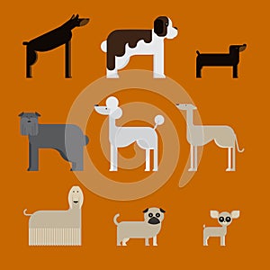 Flat dog characters set, cartoon pet animal collection chihuahua, doberman, mastiff, afgan greyhound, st bernard, pug, poodle