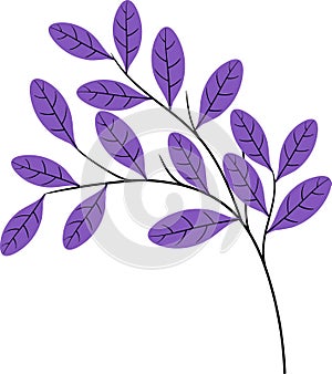 flat draw illustration of a plant, a branch of a plant with dense, lush, purple tinged leaves photo