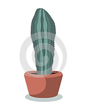 Flat drawing of a vertical potted cactus. Houseplant. Green cactus in a pot. Isolated Vector on white