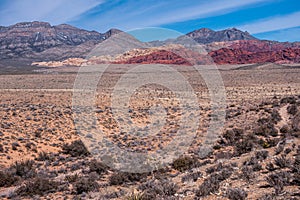 Flat dry desert with bushes and mountains, Red Rock Canyon, Nevada, USA