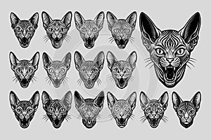 Flat engraving meowing sphynx cat head silhouette design set