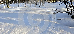 A flat field covered with deep snow and a person\'s footprints