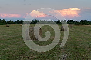 Flat field with roll bales and cumulonimbus cloud illuminated with setting sun