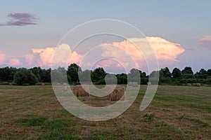 Flat field with roll bales and cumulonimbus cloud illuminated with setting sun