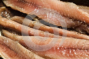 Flat fillets of anchovies
