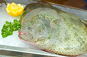 Flat fish - to be coocked