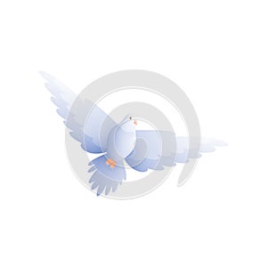 Flat Flying Pigeon Composition