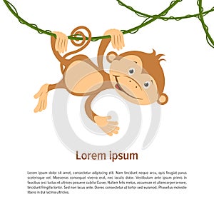 Flat funny brown monkey on liana on a white background. Vector.