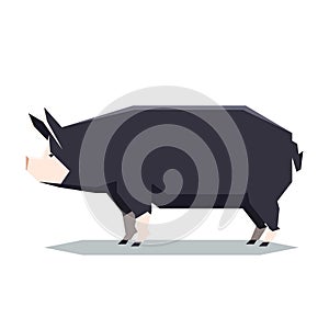 Flat geometric Berkshire pig
