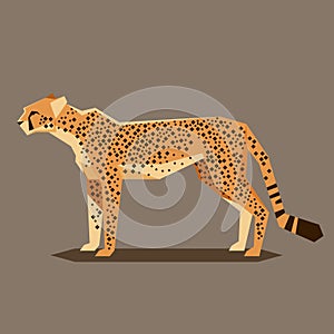 Flat geometric Cheetah