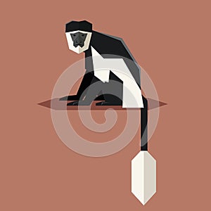 Flat geometric Colobus