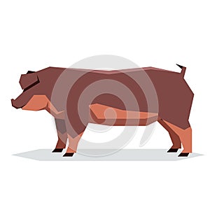 Flat geometric Duroc pig
