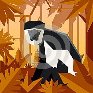 Flat geometric jungle background with Colobus