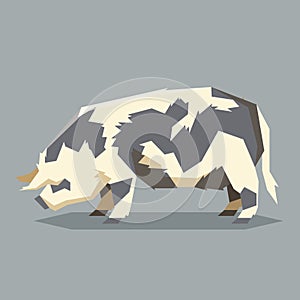 Flat geometric Kunekune pig