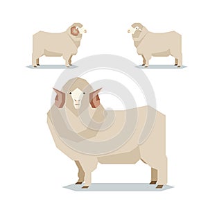 Flat geometric Merino sheep photo