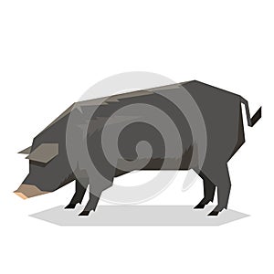 Flat geometric Mulefoot pig