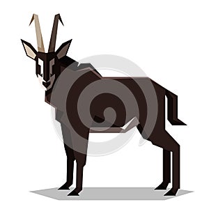 Flat geometric Sable antelope