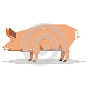 Flat geometric Tamworth pig