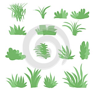 Flat grasses set vector.bush set with isolated white