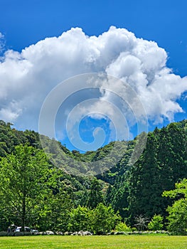 The flat grassland, dense woods, and arch-shaped clouds reflect a beautiful picture