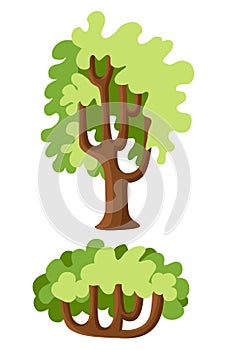Flat green trees illustration set. Stone pine, spruce, maple, birch, cedar, oak, brachychiton, banyan, willow, larch, palm,