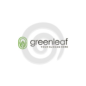 flat greenleaf leaves plants oval logo design