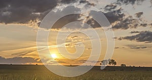 Flat hill meadow timelapse at the summer sunset time. Wild nature and rural field. Sun rays, trees, green grass movement