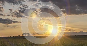 Flat hill meadow timelapse at the summer sunset time. Wild nature and rural field. Sun rays, trees, green grass movement