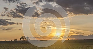 Flat hill meadow timelapse at the summer sunset time. Wild nature and rural field. Sun rays, trees, green grass movement