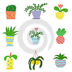 Flat house plants in a cartoon style. Set of flowers in pots. Interior. Vector illustration