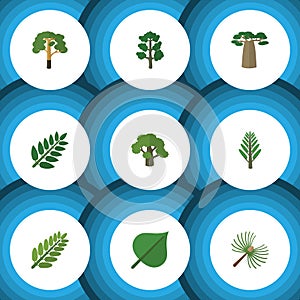 Flat Icon Bio Set Of Wood, Jungle, Baobab And Other Vector Objects. Also Includes Leaf, Tree, Leaves Elements.
