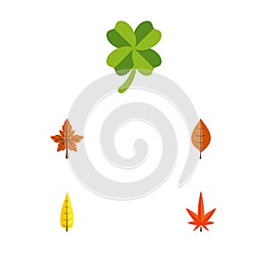 Flat Icon Foliage Set Of Maple, Alder, Leafage And Other Vector Objects. Also Includes Alder, Foliage, Leaf Elements.