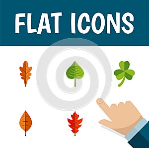 Flat Icon Maple Set Of Linden, Hickory, Frond And Other Vector Objects. Also Includes Leaf, Linden, Hickory Elements.