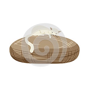Sleeping Cat Icon