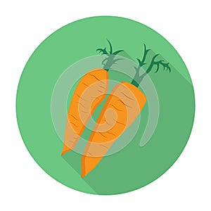 flat icons for carrot,vector illustrations