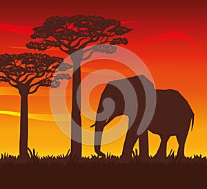 Flat illustration about africa design