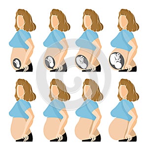 Flat illustration. Four stages development of embrio into woman with transperent and not belly