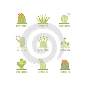 Flat illustration of succulent plants and cactuses.