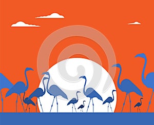 Flat illustration vector flamingo bird