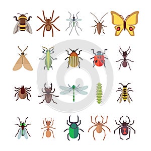 Flat insects icons set. Butterfly, dragonfly, spiders, ant isolated on white background