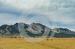 Flat Irons with Brown Grass